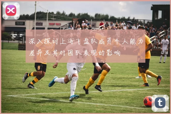 深入探讨上海飞盘队成员个人能力差异及其对团队表现的影响