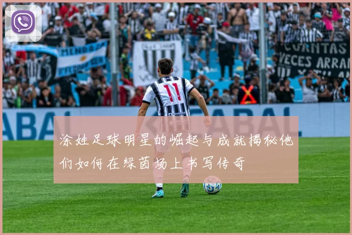 涂姓足球明星的崛起与成就揭秘他们如何在绿茵场上书写传奇