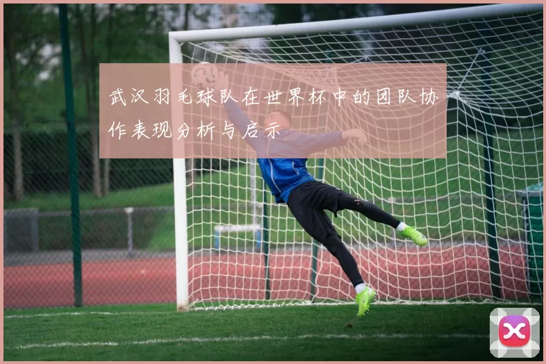 武汉羽毛球队在世界杯中的团队协作表现分析与启示
