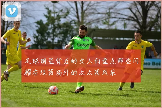 足球明星背后的女人们盘点那些闪耀在绿茵场外的太太团风采