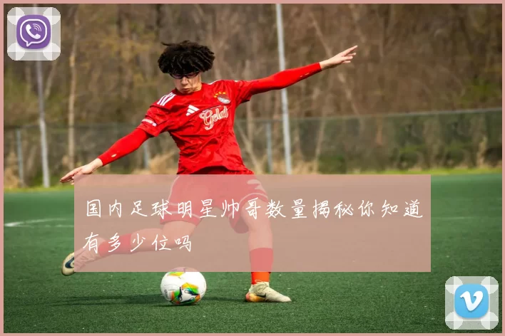 国内足球明星帅哥数量揭秘你知道有多少位吗