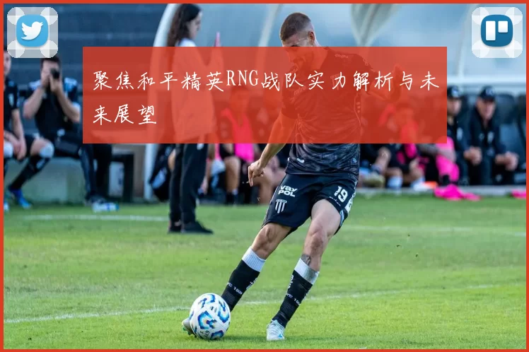 聚焦和平精英RNG战队实力解析与未来展望