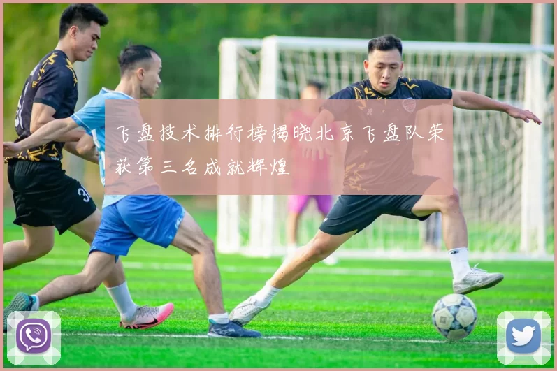 飞盘技术排行榜揭晓北京飞盘队荣获第三名成就辉煌