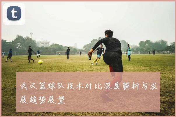 武汉篮球队技术对比深度解析与发展趋势展望