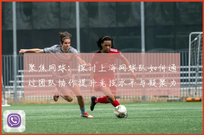 聚焦网球：探讨上海网球队如何通过团队协作提升竞技水平与凝聚力