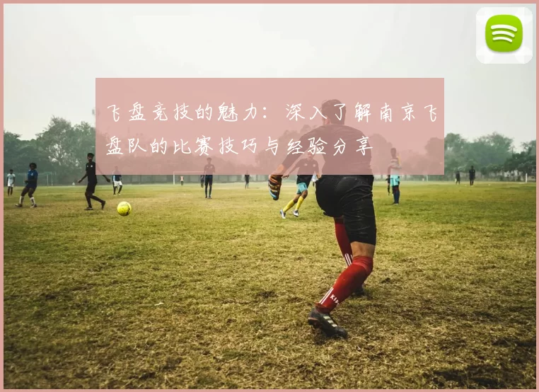 飞盘竞技的魅力：深入了解南京飞盘队的比赛技巧与经验分享