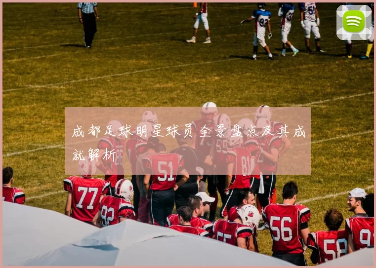 成都足球明星球员全景盘点及其成就解析