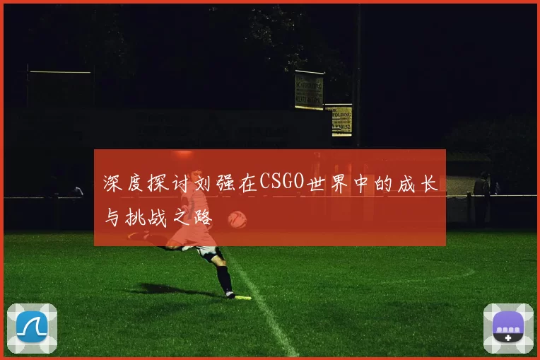 深度探讨刘强在CSGO世界中的成长与挑战之路