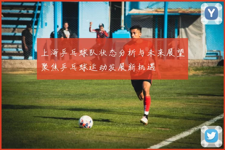 上海乒乓球队状态分析与未来展望聚焦乒乓球运动发展新机遇
