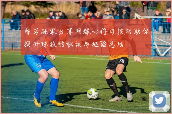 陈芳独家分享网球心得与技巧助你提升球技的秘诀与经验总结