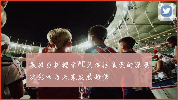 数据分析揭示WE灵活性表现的深层次影响与未来发展趋势