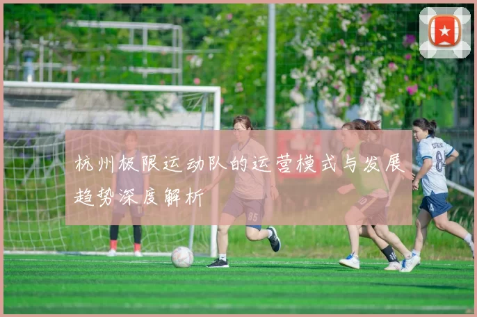 杭州极限运动队的运营模式与发展趋势深度解析