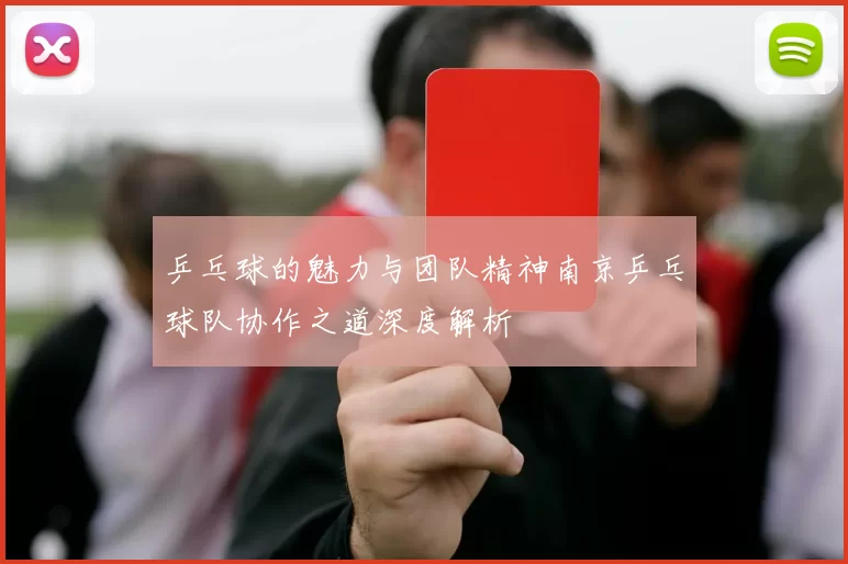 乒乓球的魅力与团队精神南京乒乓球队协作之道深度解析