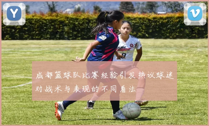 成都篮球队比赛经验引发热议球迷对战术与表现的不同看法