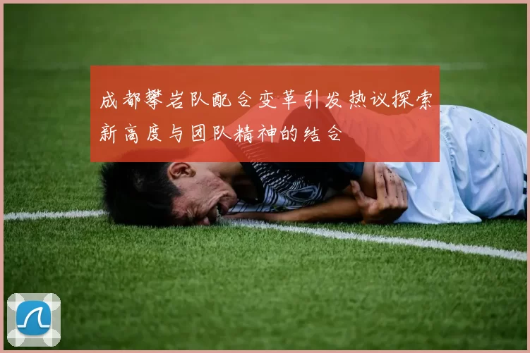成都攀岩队配合变革引发热议探索新高度与团队精神的结合