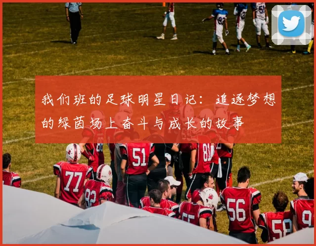 我们班的足球明星日记：追逐梦想的绿茵场上奋斗与成长的故事