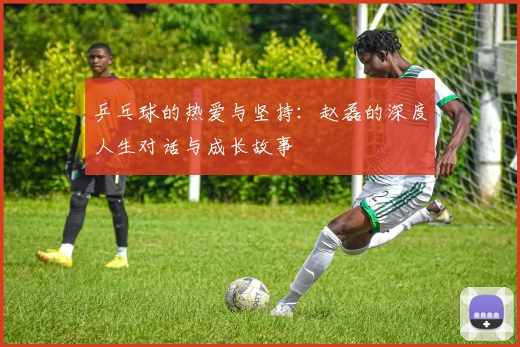乒乓球的热爱与坚持：赵磊的深度人生对话与成长故事