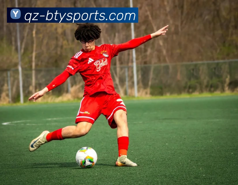 b体育平台生态图