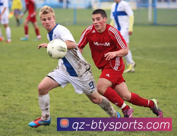 b体育APP 封面图